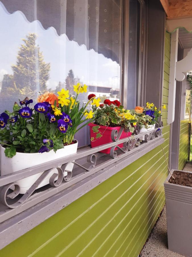 Gite Le Chalet Vert , Pret De Raquettes Frambouhans Exterior foto